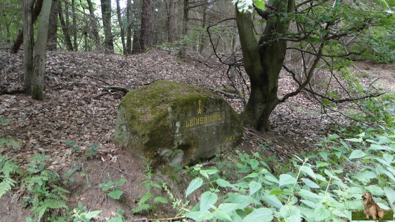 Ritterstein Nr. 135-2 Leimersohl.JPG - Ritterstein Nr. 135 Leimersohl                               